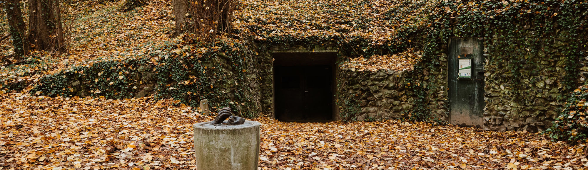 De ingang van de prehistorische vuursteenmijn Rijckholt bedolven onder de herfstbladeren