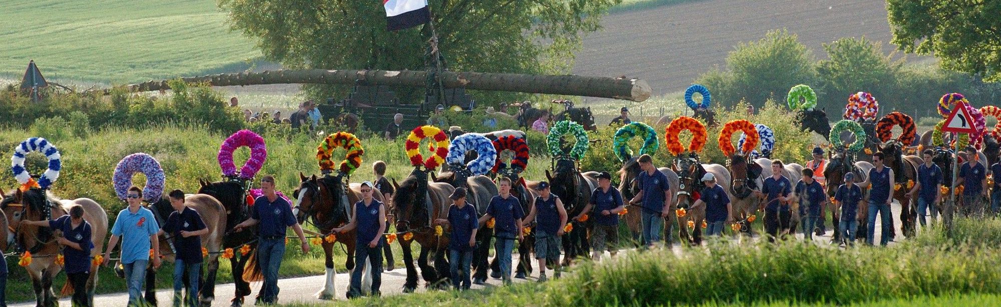 Boeren paarden met bloemenkransen en jongens met dezelfde polo's lopende naast de paarden in Zuid-Limburgse heuvels