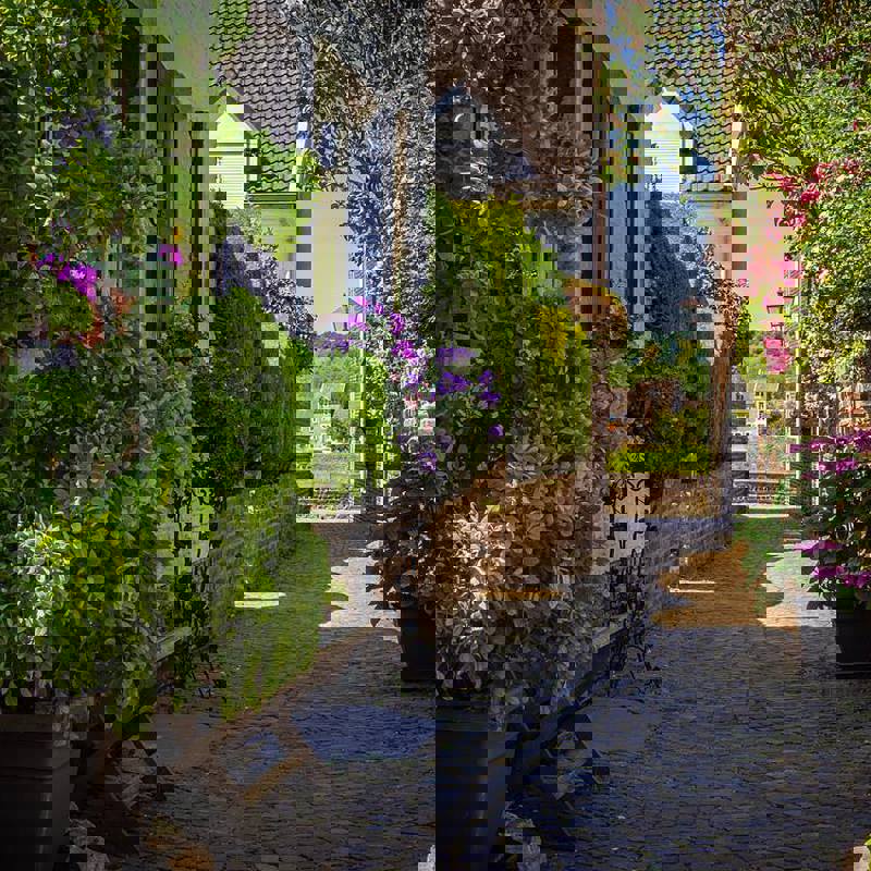 Bloemen in bloei in Batsteeg in Eijsden