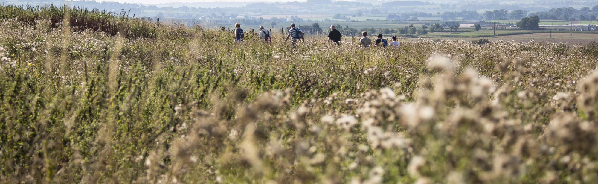 Een groep mensen wandelt door een natuurgebied