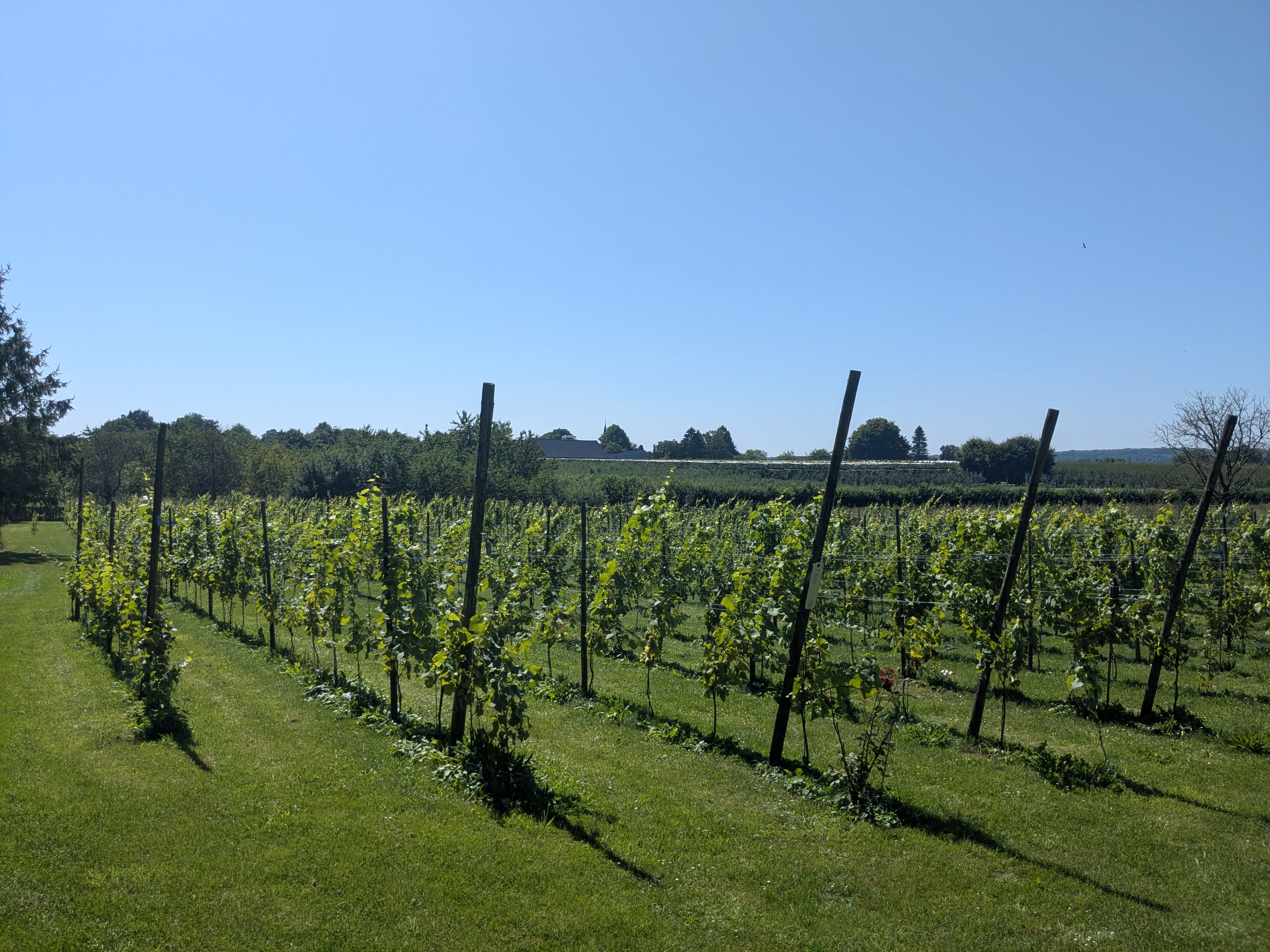 Preuve Oppe Riesseberg