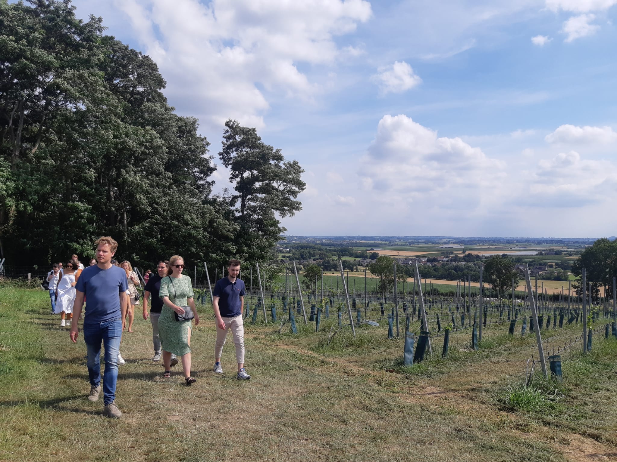 Wijngaardwandeling Wijndomein Riesenberg