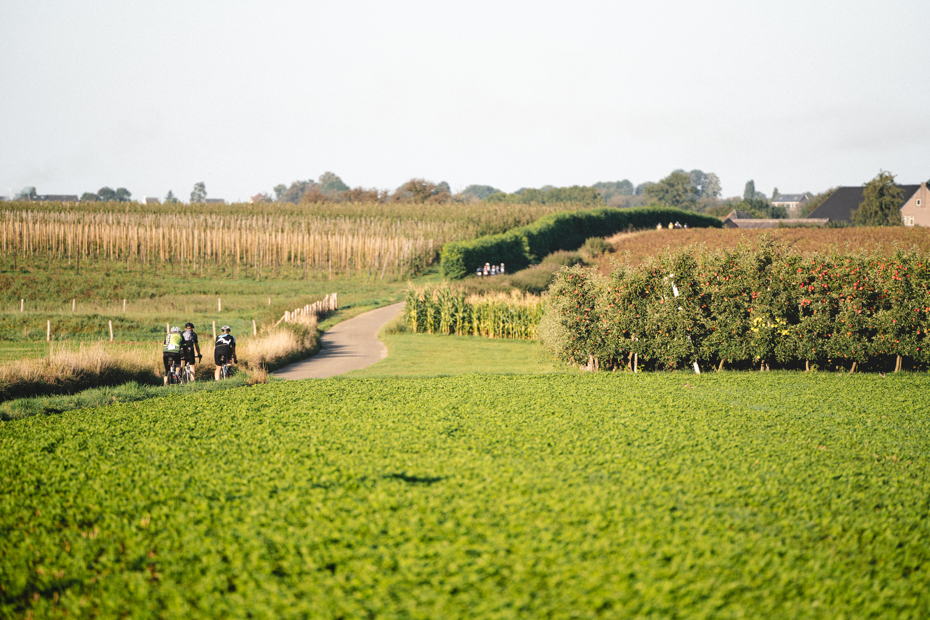Mergelheuvelland Tweedaagse