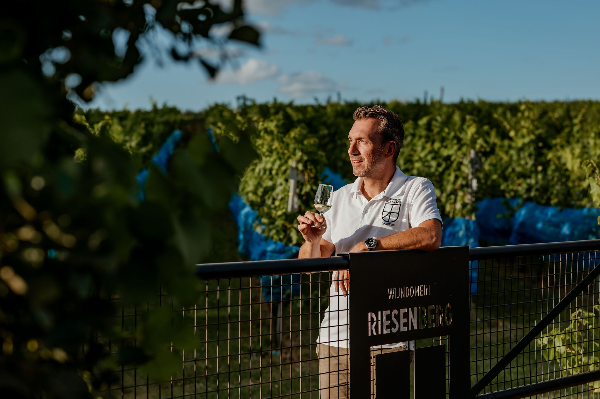 Wijndomein Riesenberg