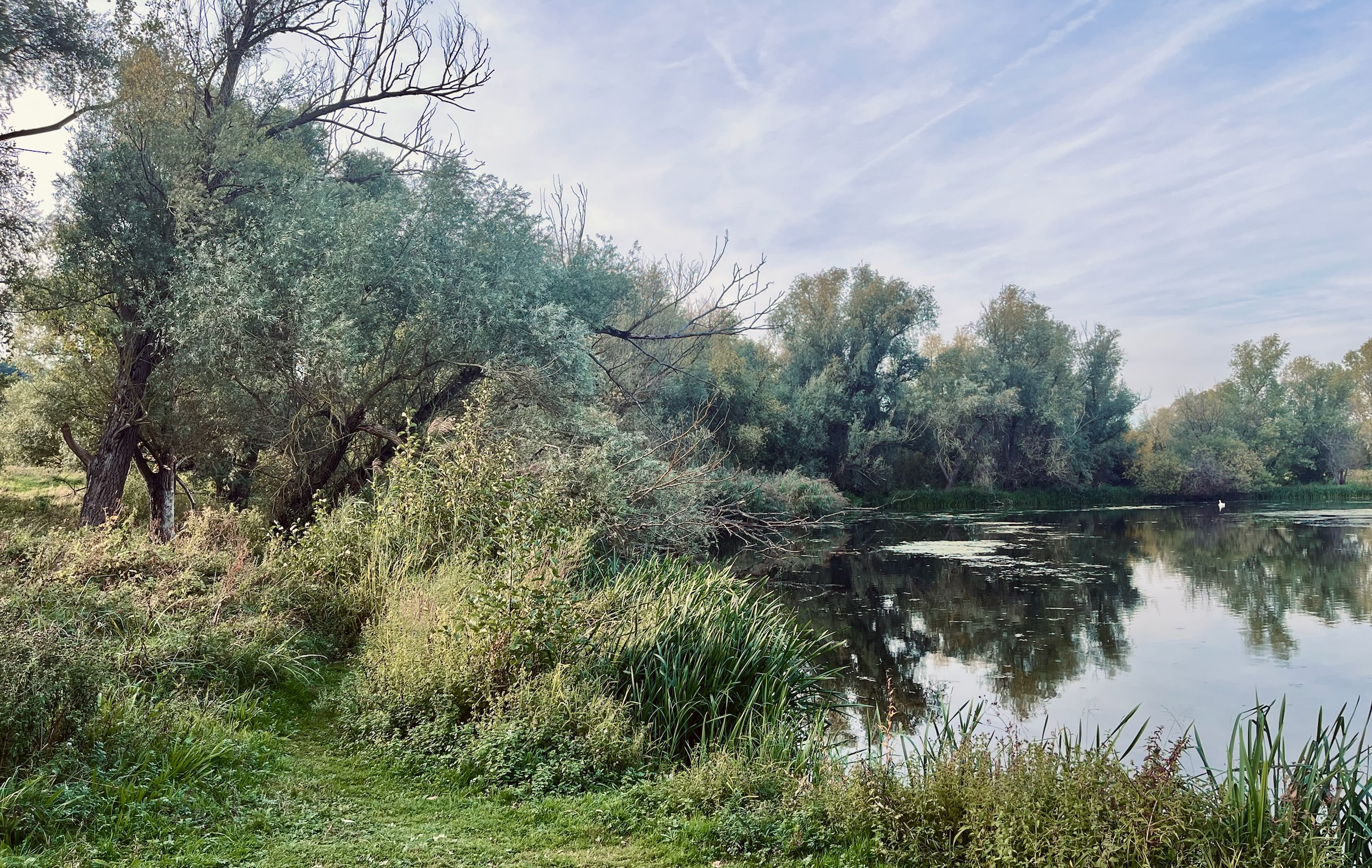 Wilde Kruidenwandeling in de Eijsder-Beemden