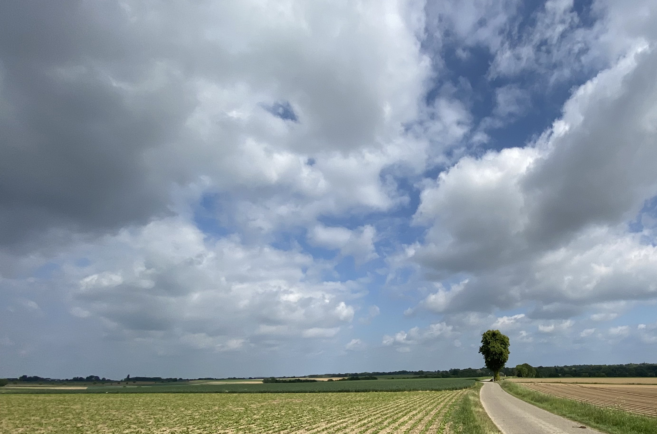 PlateauKunst